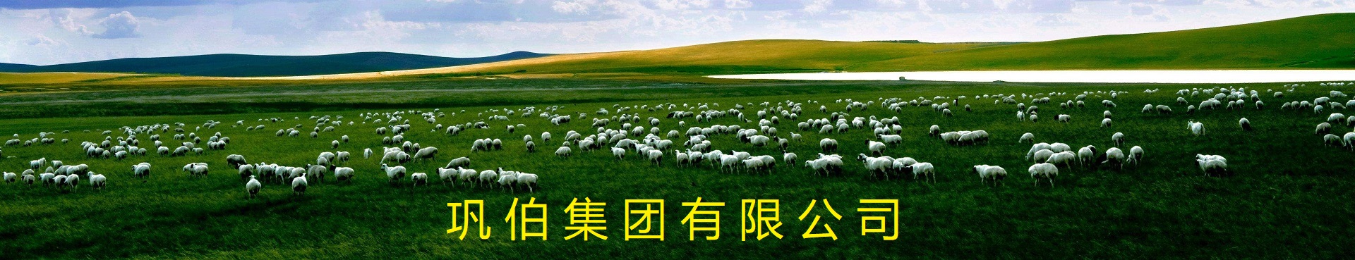 电子会员卡申请