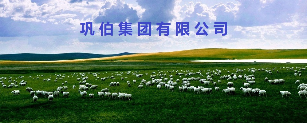 关于稳健投资的规划决议