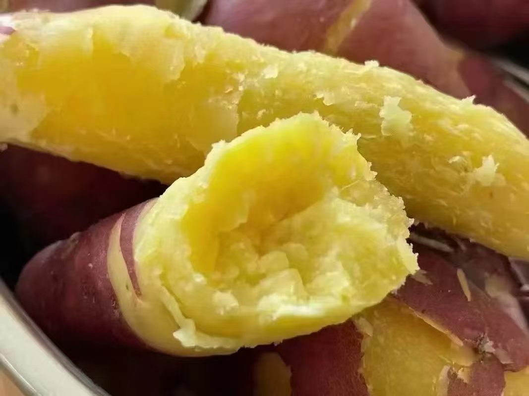 红顶山麓牌泗水地瓜